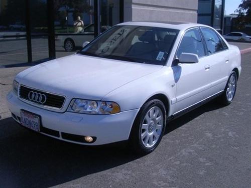 Audi A4 Graphic PKG Other