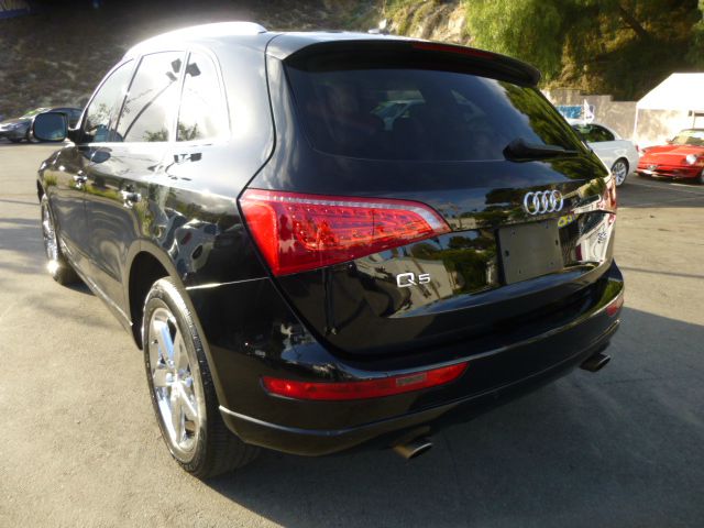 Audi Q5 2009 photo 3