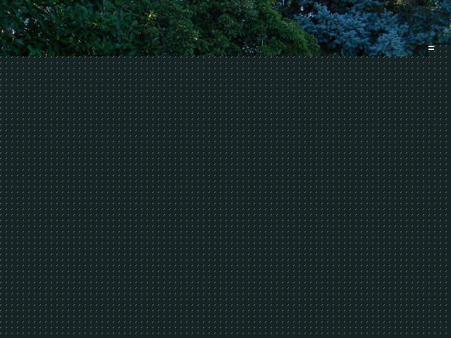 BMW 3 series Unknown Unspecified