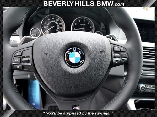 BMW 5 series 3.5tl W/tech Pkg Other