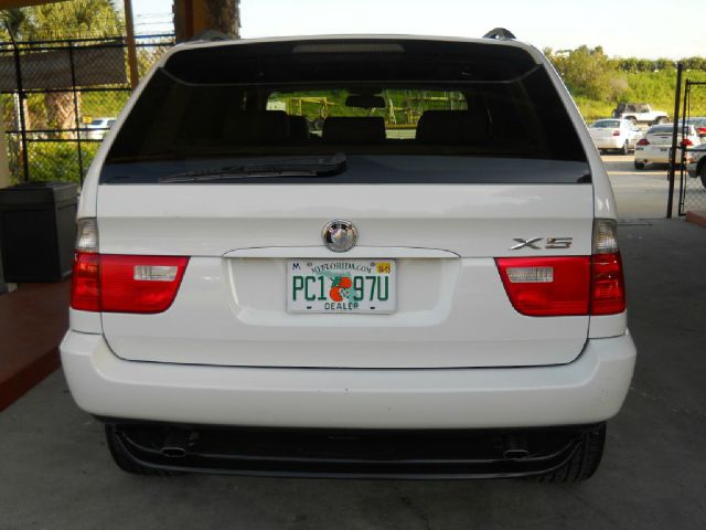 BMW X5 Lightning SUV