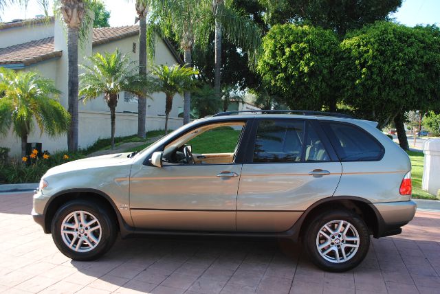 BMW X5 Lightning SUV