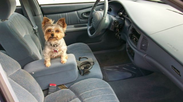 Buick Century 1998 photo 2