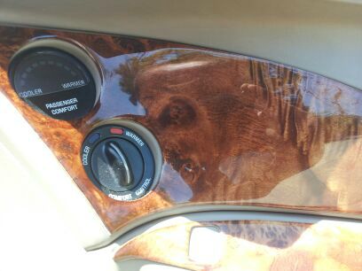 Buick Riviera 1997 photo 9