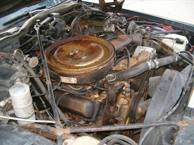 Cadillac Deville 1983 photo 3