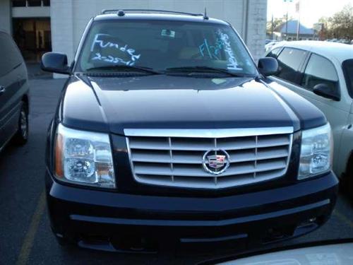 Cadillac Escalade 2004 photo 4