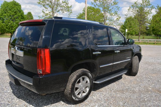 Cadillac Escalade 2007 photo 3