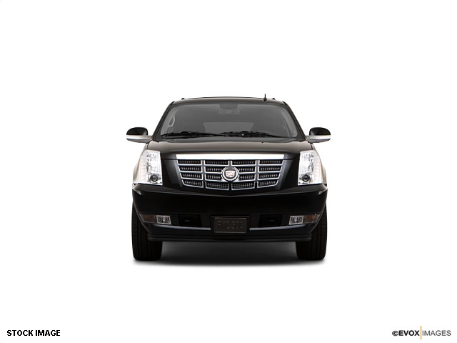 Cadillac Escalade 2010 photo 1