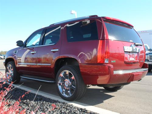 Cadillac Escalade 2011 photo 4