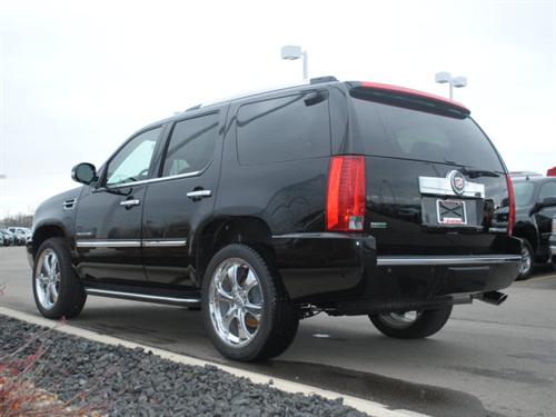 Cadillac Escalade 2011 photo 3