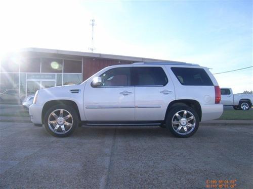 Cadillac Escalade 2011 photo 1