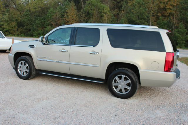 Cadillac Escalade ESV 323ci SUV
