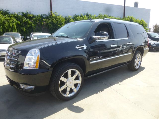 Cadillac Escalade ESV 2009 photo 2