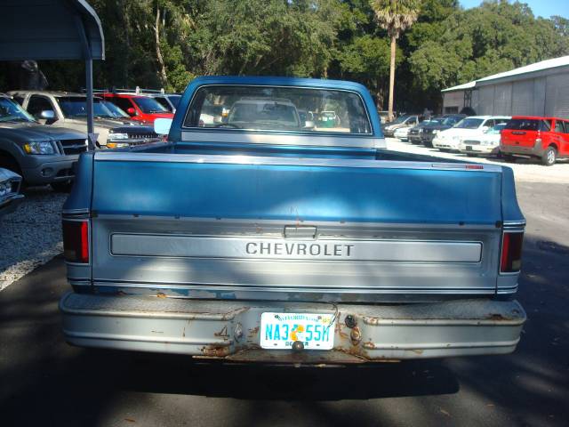 Chevrolet C1500 1978 photo 5