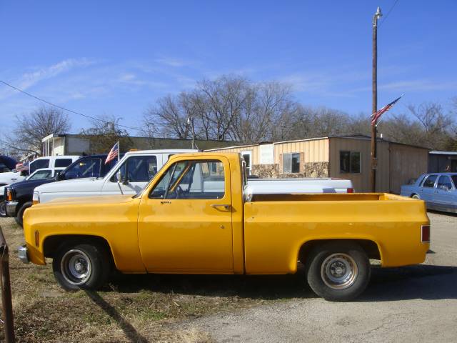 Chevrolet C1500 1978 photo 1