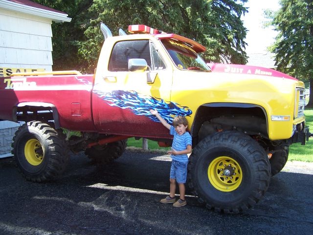 Chevrolet CK1500 1978 photo 2