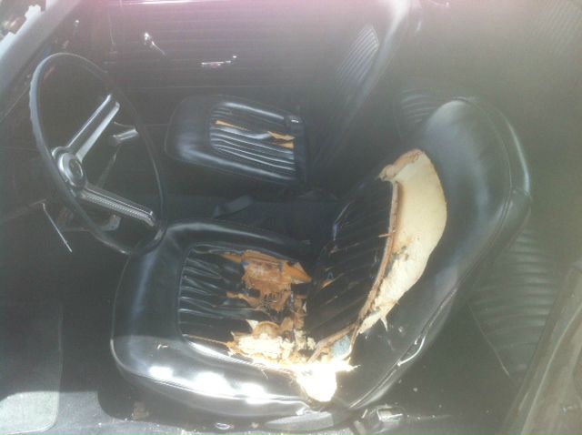 Chevrolet Camaro 1968 photo 4