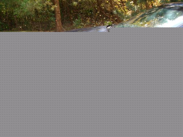 Chevrolet Caprice Classic 1996 photo 3