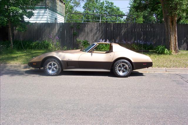 Chevrolet Corvette 1976 photo 1