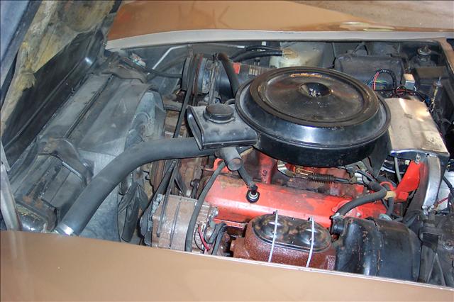 Chevrolet Corvette 1976 photo 3