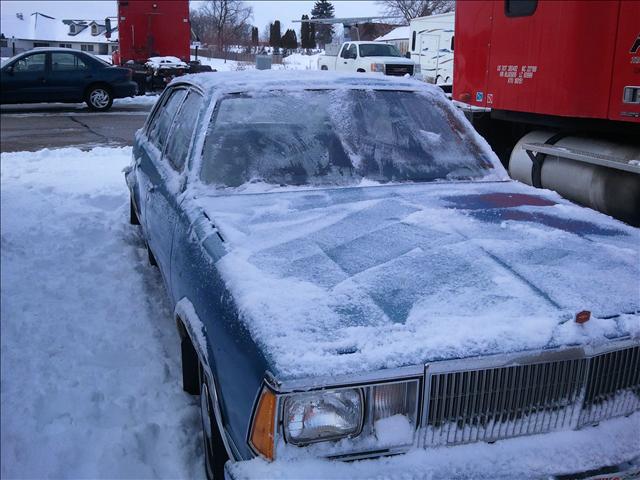 Chevrolet Malibu 1980 photo 2