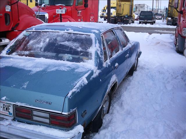 Chevrolet Malibu 1980 photo 3