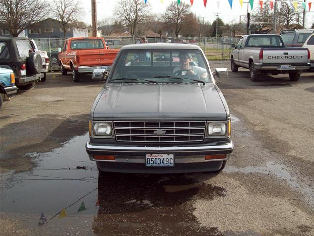 Chevrolet S10 Base Pickup