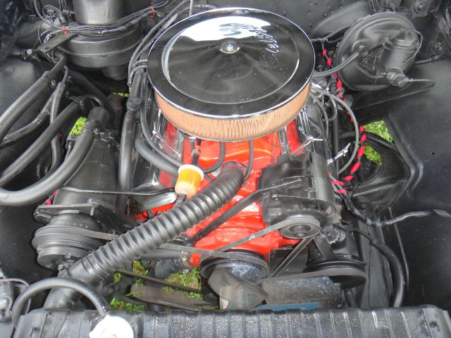 Chevrolet malibu SS 1965 photo 16