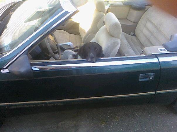 Chrysler Lebaron 1994 photo 3