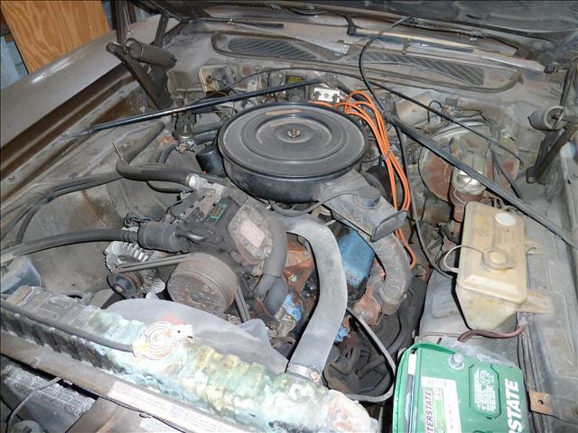 Dodge Charger SE Classic Car - Custom Car