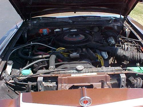 Dodge Charger 1977 photo 5