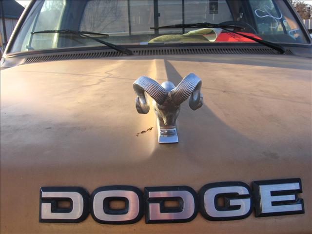 Dodge D250 Pickup 1986 photo 3