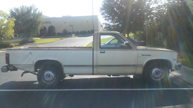 Dodge Dakota 1987 photo 3