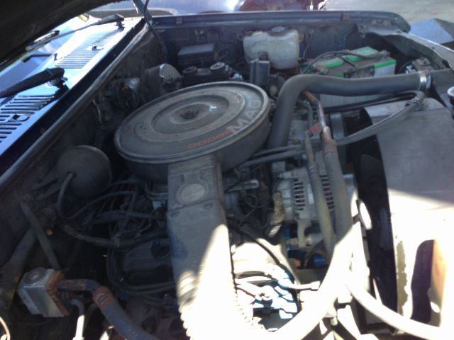 Dodge Dakota 1992 photo 2