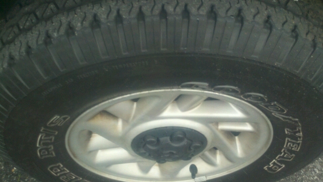 Dodge Dakota 1993 photo 7