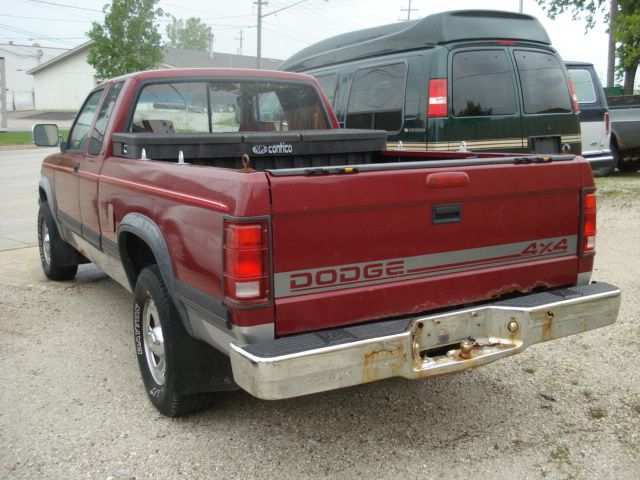 Dodge Dakota 1995 photo 10