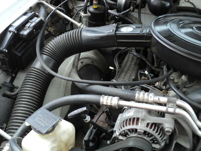 Dodge Dakota 1995 photo 2