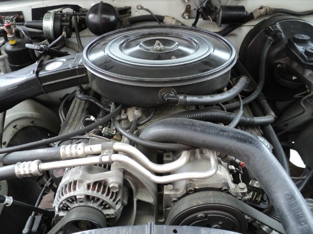 Dodge Dakota 1995 photo 3