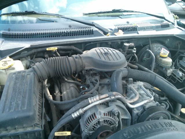 Dodge Dakota 1998 photo 4