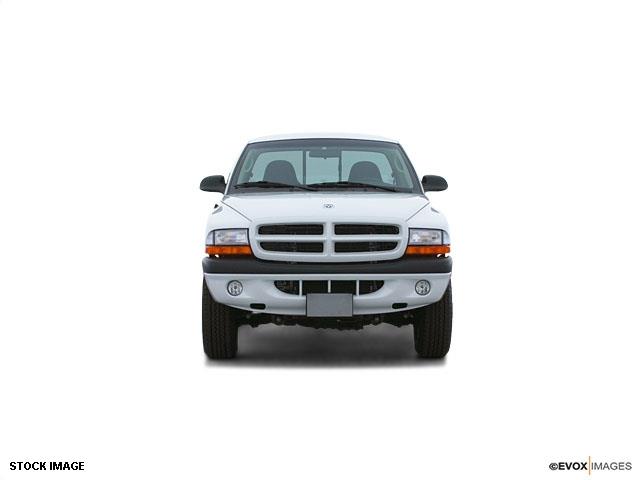 Dodge Dakota 2001 photo 12