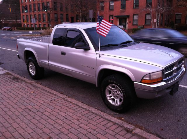 Dodge Dakota 2001 photo 4