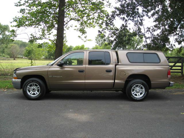Dodge Dakota 2001 photo 1