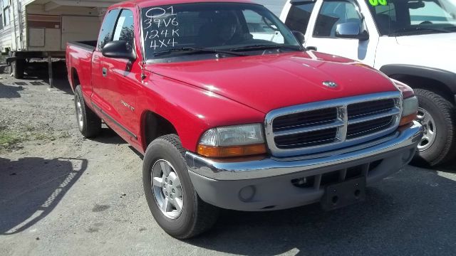 Dodge Dakota 2001 photo 4