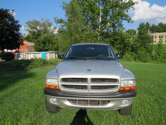 Dodge Dakota 2001 photo 2