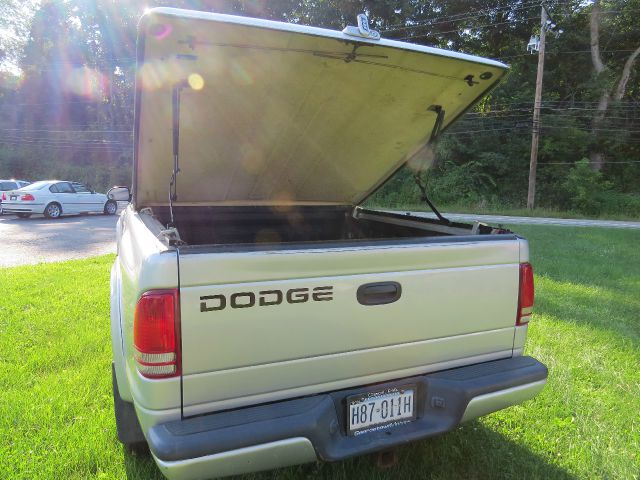 Dodge Dakota 2001 photo 4