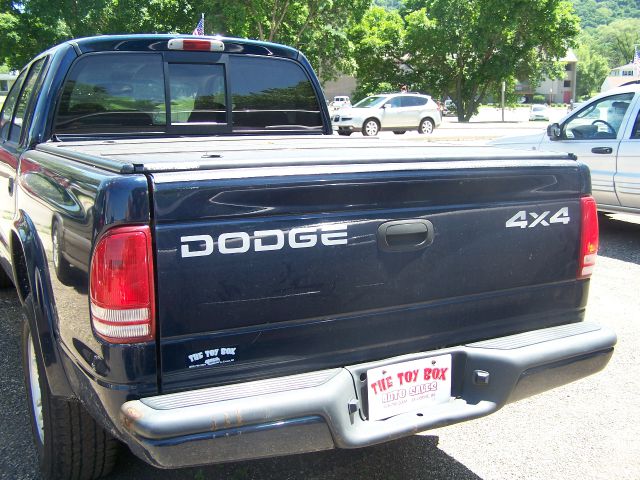 Dodge Dakota 2001 photo 4