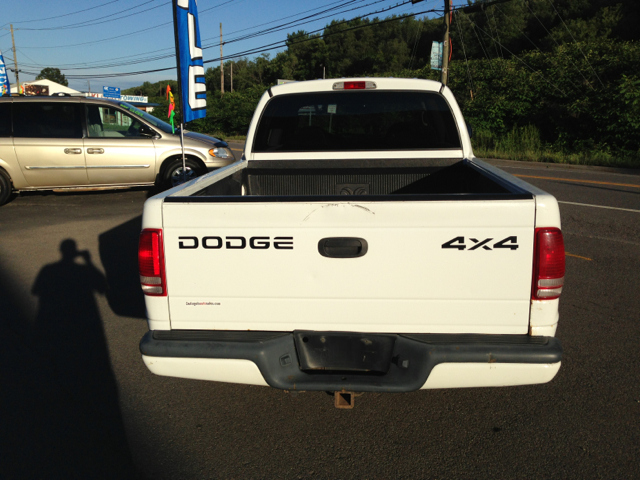 Dodge Dakota 2001 photo 3