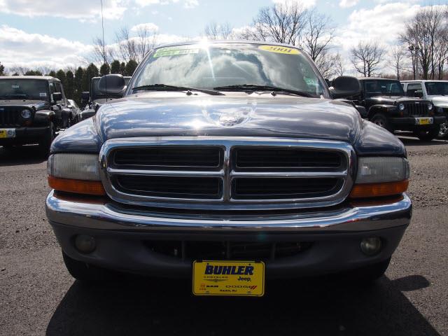 Dodge Dakota 2001 photo 4