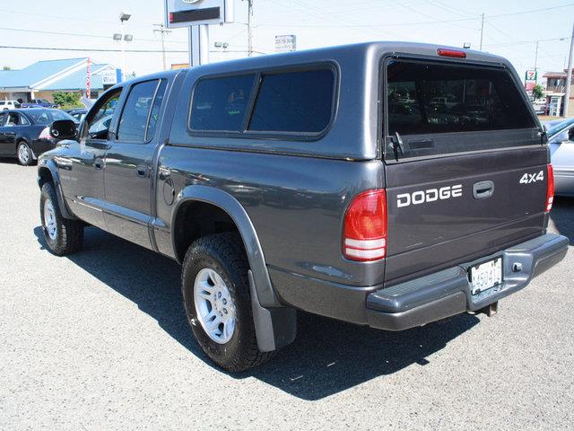 Dodge Dakota 2002 photo 4