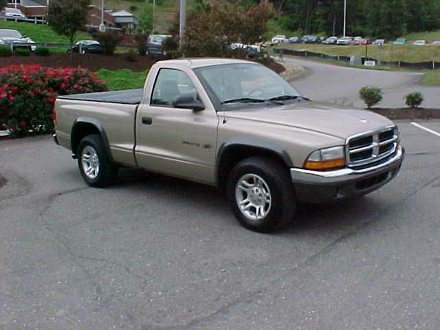 Dodge Dakota 2002 photo 4
